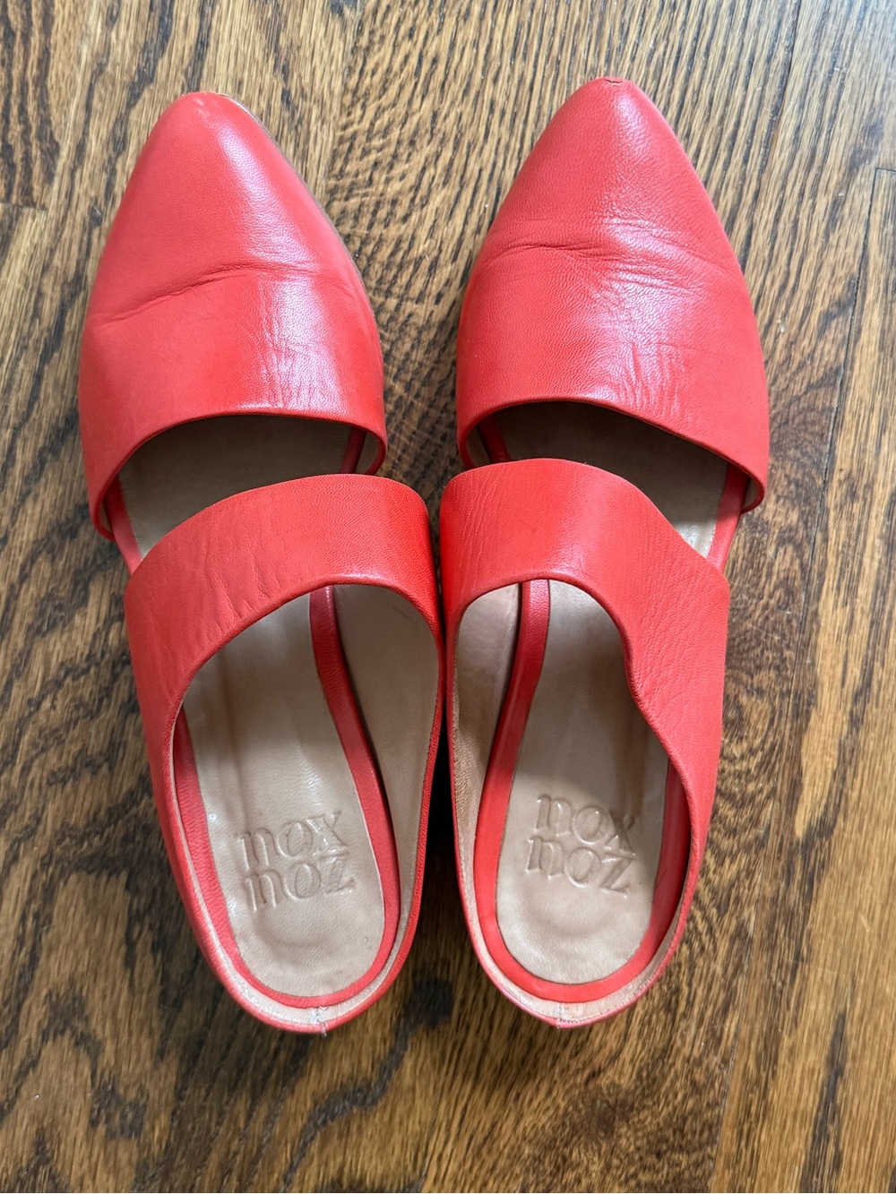 Zou Xou Mule in Tomato
